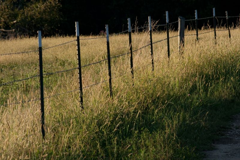 Farm Fence with Barbed Wire