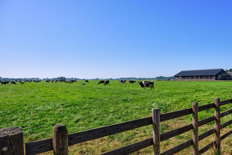 Livestock Fencing Installation