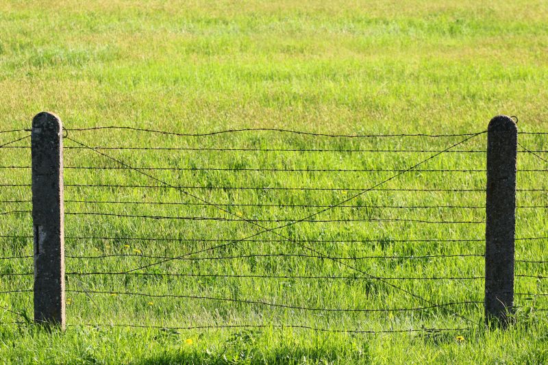 Livestock Fencing Installation