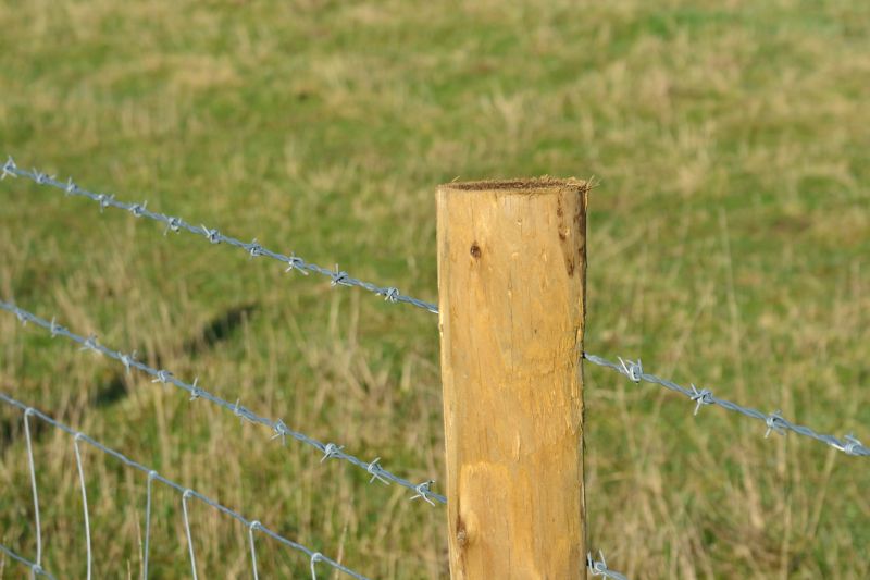 Steel Fence Replacement